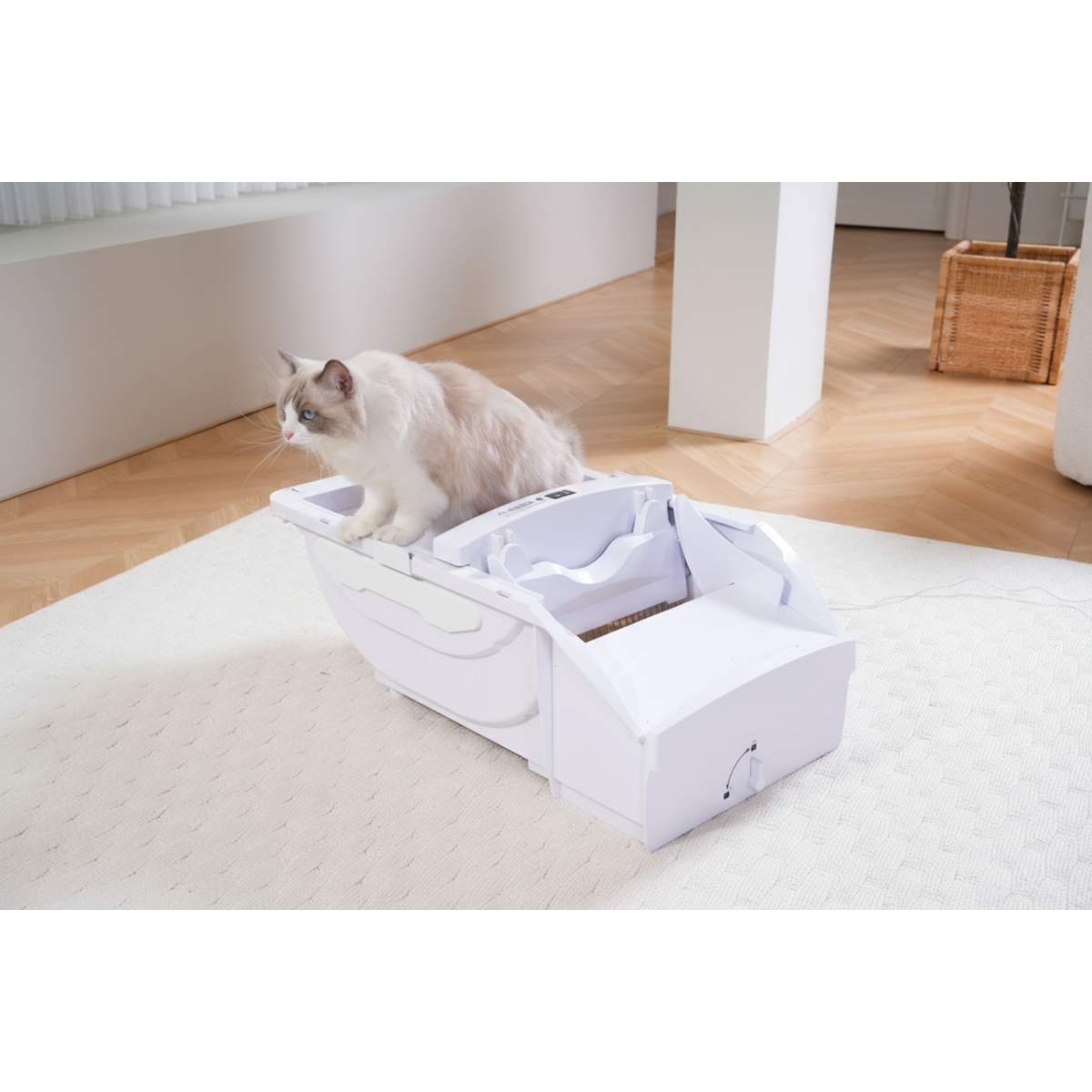 Smart Cat Litter Box Cat Litter Box Wide Opening With Hood