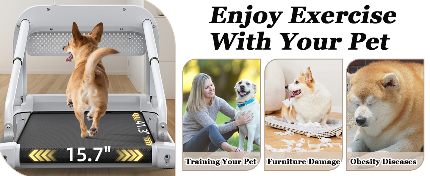 Dog Treadmill for Small and Medium Dogs, Pet Running Machine, Dog Indoor Pacer Treadmill with Remote Control, Dog Pacer Training Pad with LCD Display Screen and Remote