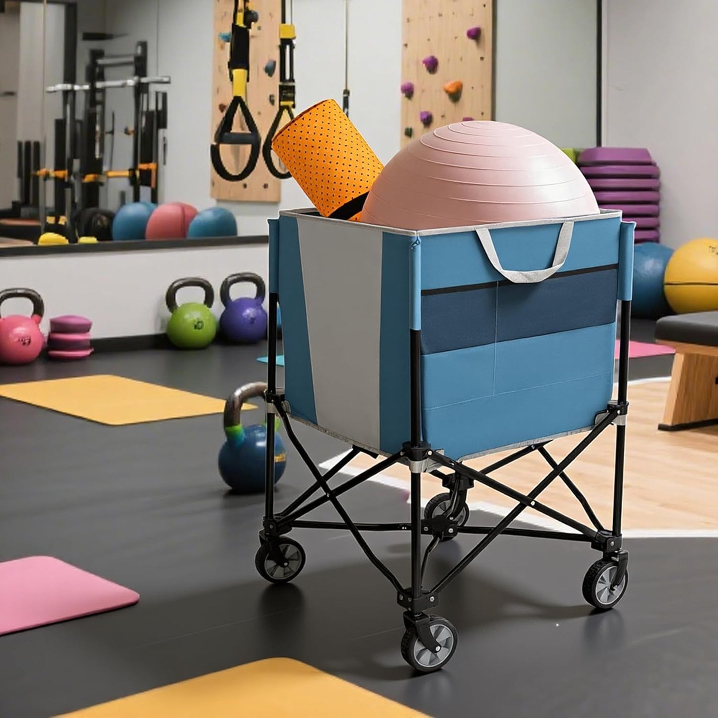 ZeHuoGe Rolling Ball Storage Cart with Wheels, Collapsible Garage Sports Equipment Organizer for Volleyball Basketball Tennis Toy Storage Multi-Sport Family Gym
