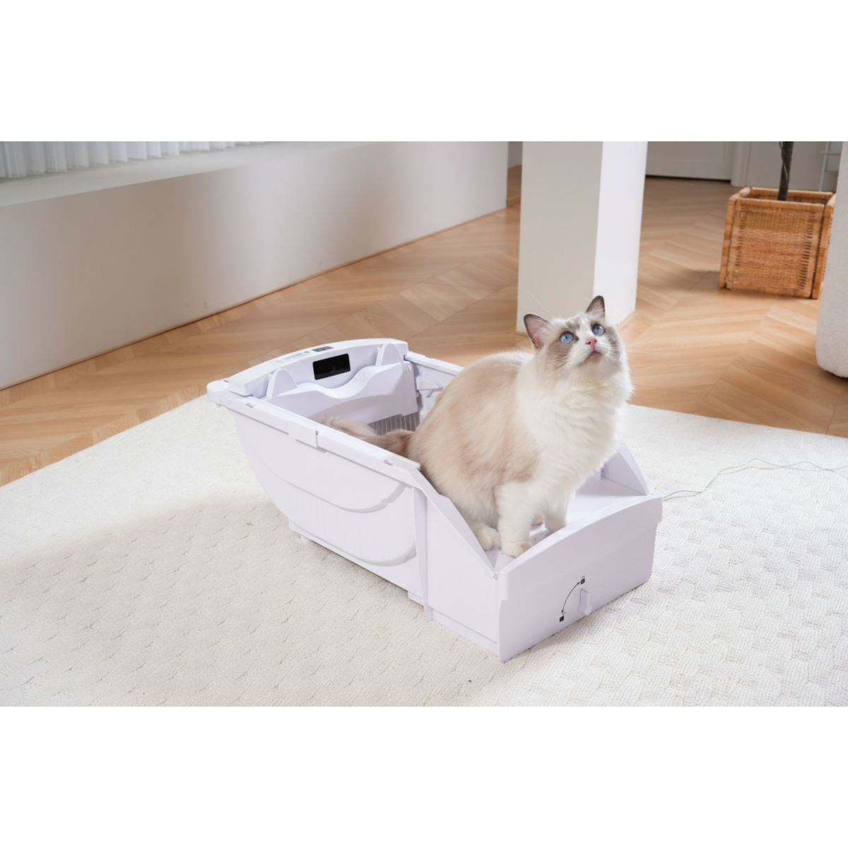 Smart Cat Litter Box Cat Litter Box Wide Opening With Hood