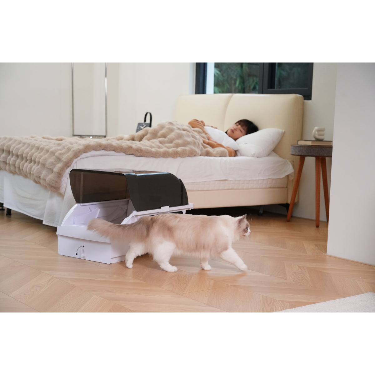 Smart Cat Litter Box Cat Litter Box Wide Opening With Hood